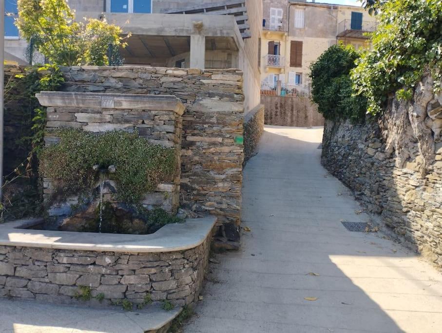 Appartement - Brando المظهر الخارجي الصورة